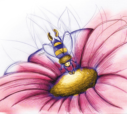 To bee or not to bee